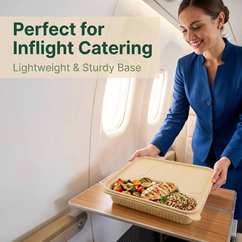 Four-Compartment Biodegradable Bagasse Meal Tray 220×190mm – Inflight &amp;amp;amp;amp;amp;amp;amp; Catering - image 5