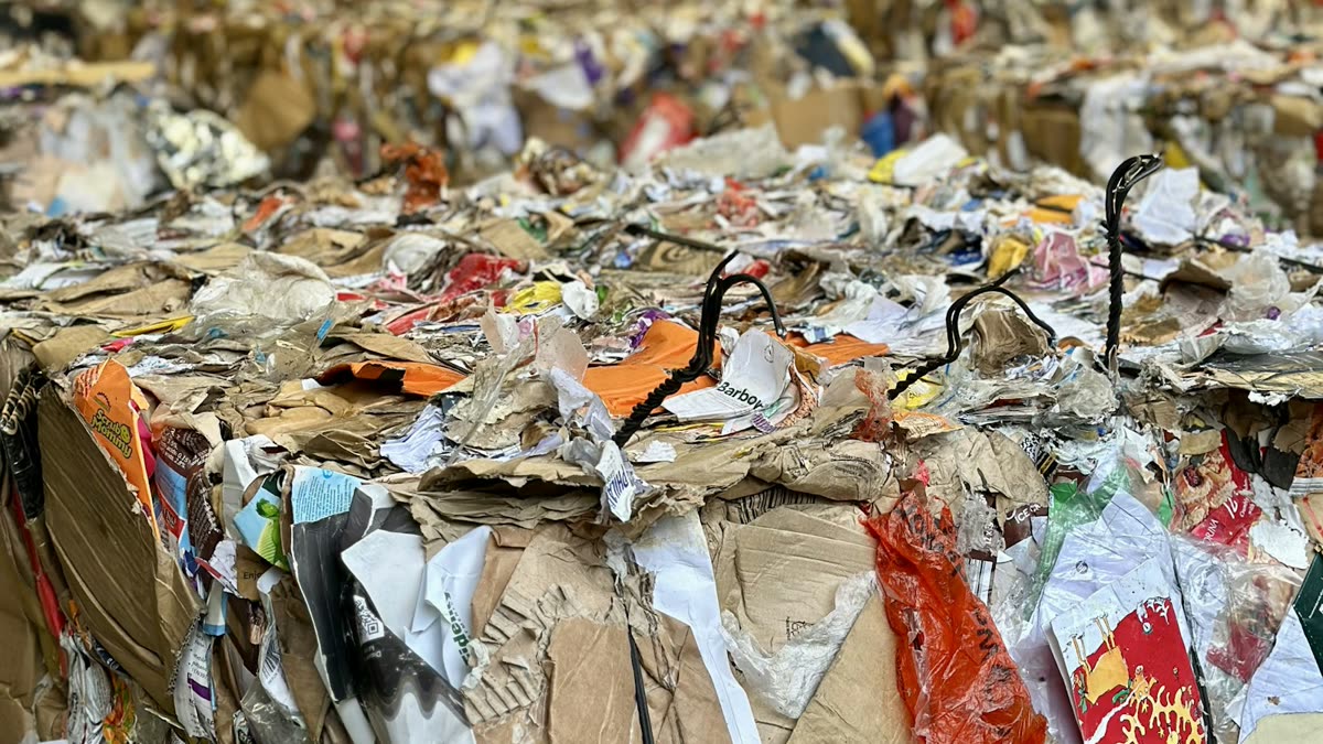 Responsabilidad Extendida del Productor (REP) en Envases del Reino Unido: Qué significa la Metodología de Reciclabilidad de 2027 para los compradores de envases de alimentos.